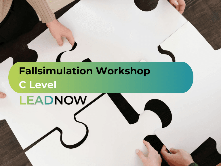 Fallsimulation – C Level